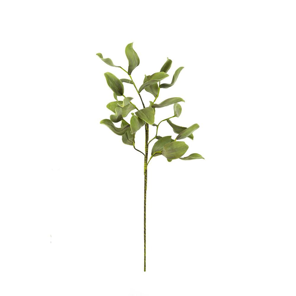 Botanica #2425