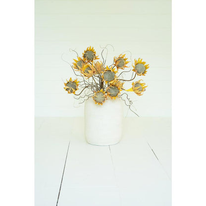 Botanica #2688