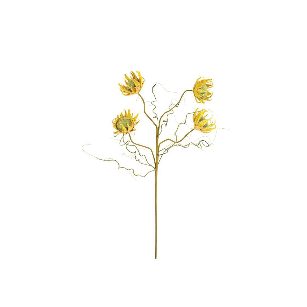 Botanica #2688