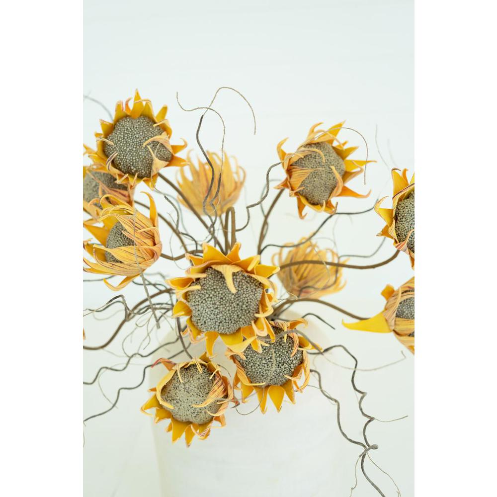 Botanica #2688