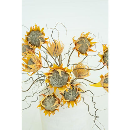 Botanica #2688