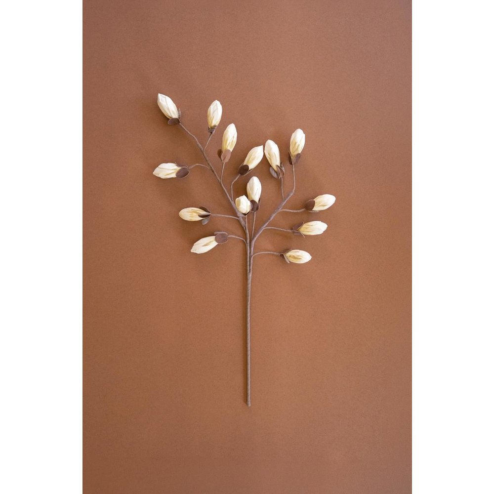 Botanica #2716
