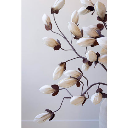 Botanica #2716
