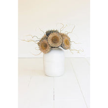 Botanica #2771