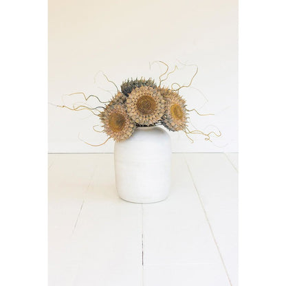 Botanica #2771