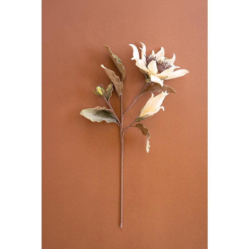 Botanica #2797