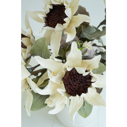 Botanica #2797