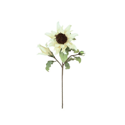 Botanica #2797