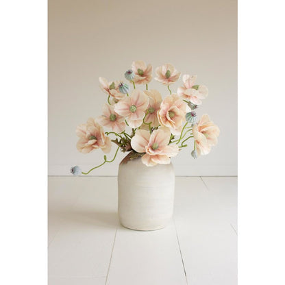 Botanica #2798