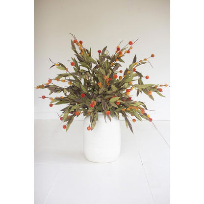 Botanica #2818
