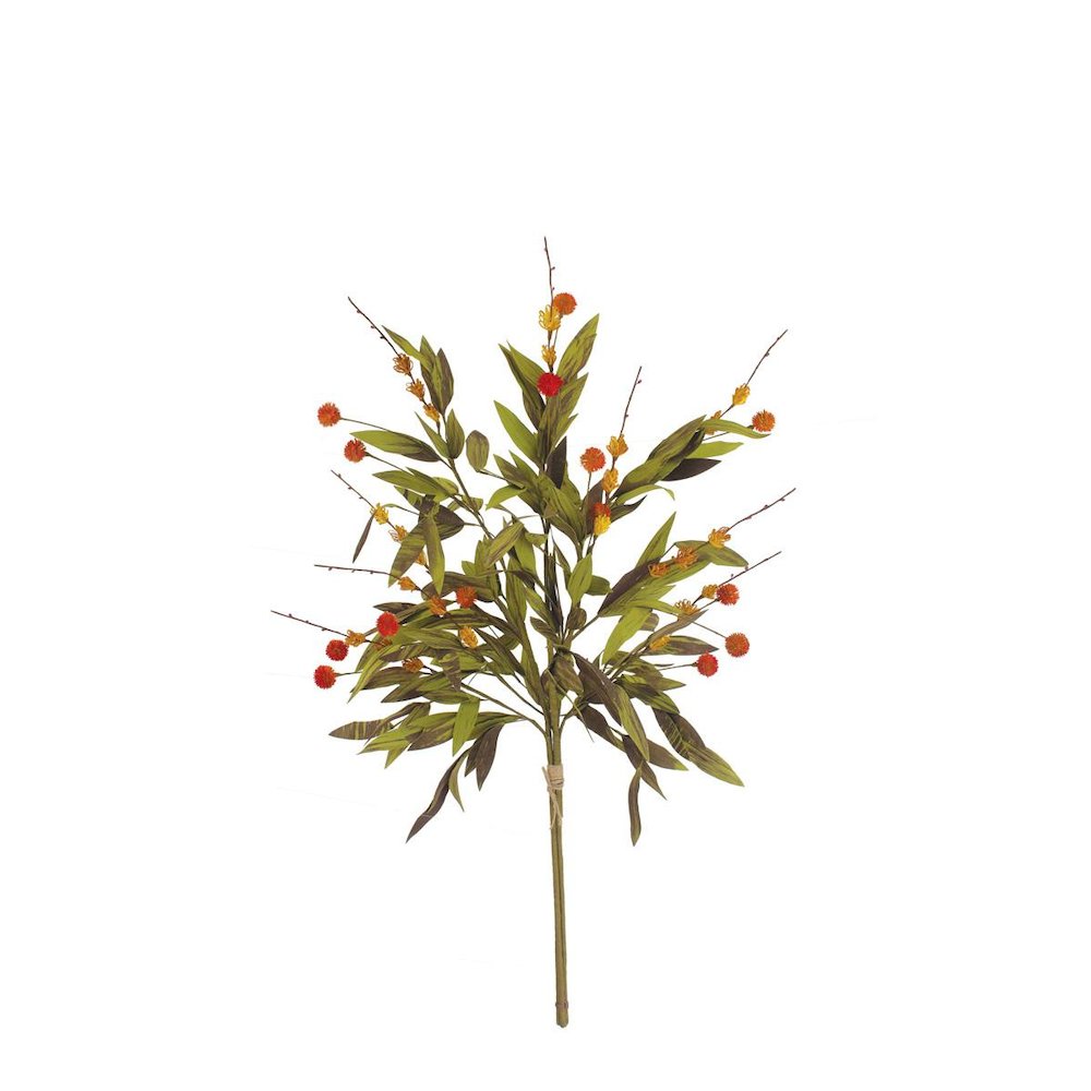 Botanica #2818