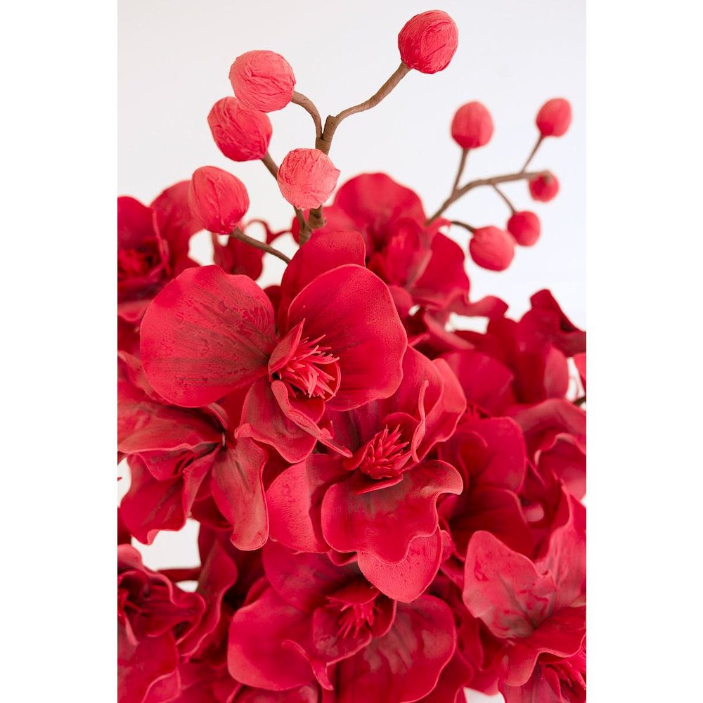 Botanica #2833