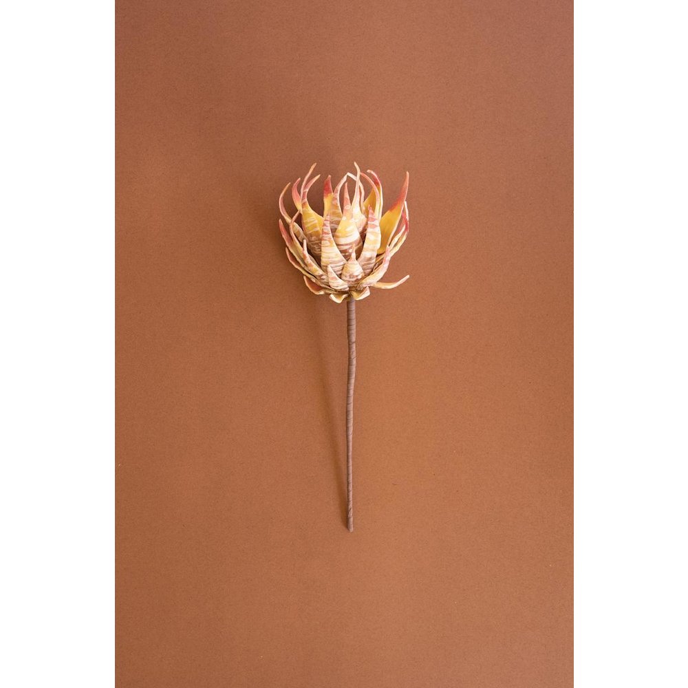 Botanica #2855