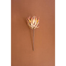 Botanica #2855