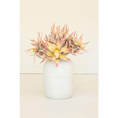 Botanica #2855