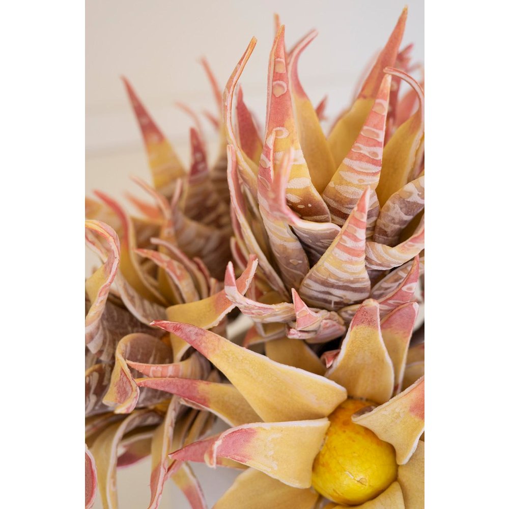 Botanica #2855