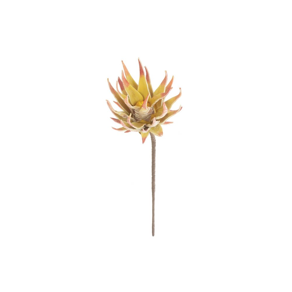 Botanica #2855