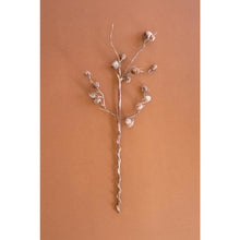 Botanica #2863
