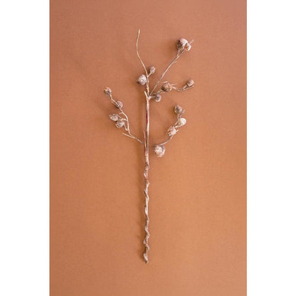Botanica #2863