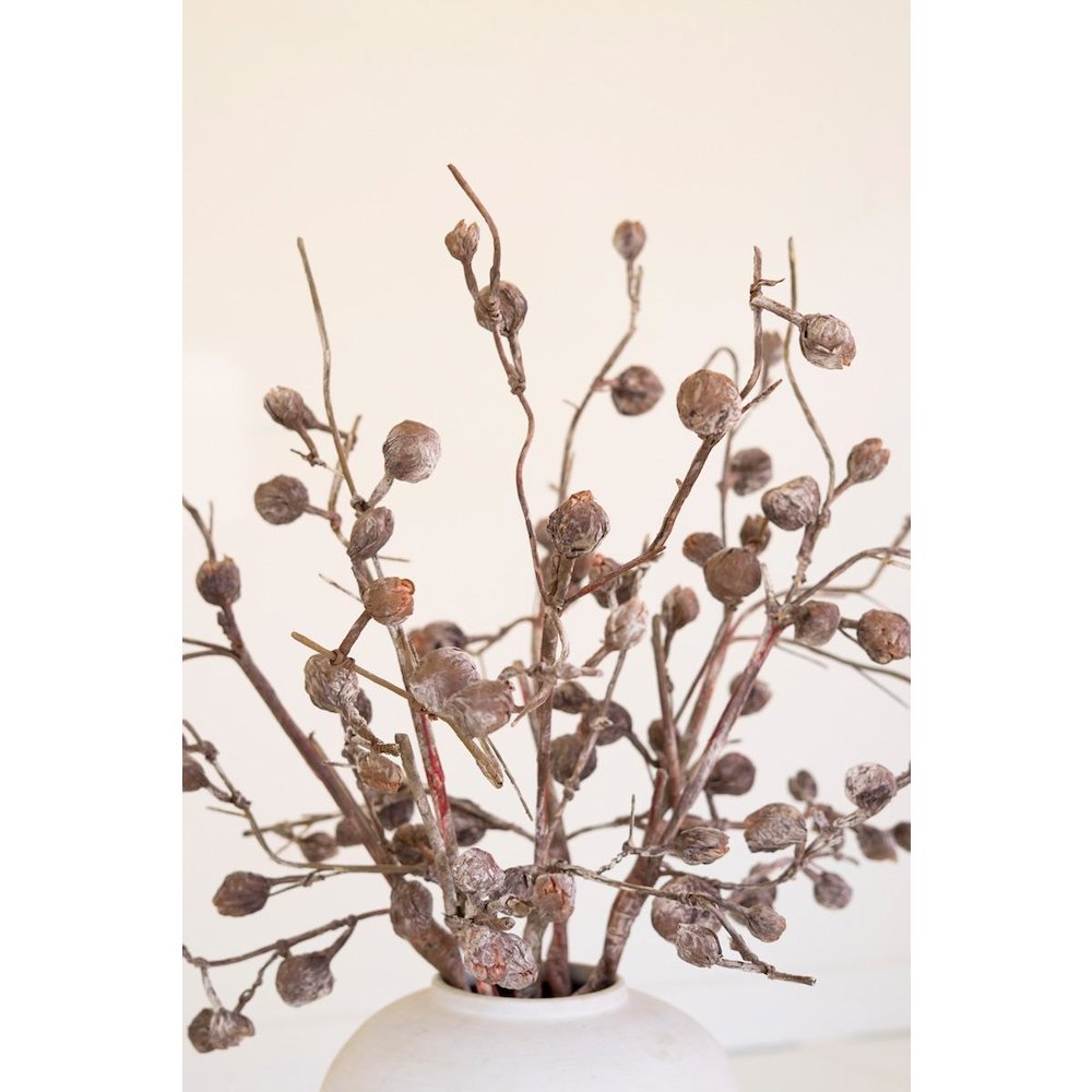 Botanica #2863