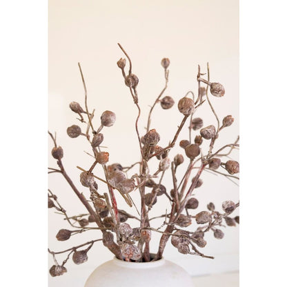 Botanica #2863