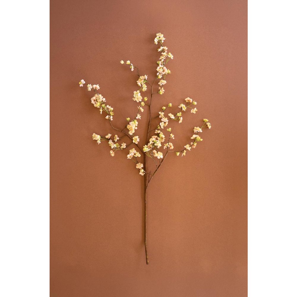 Botanica #2881