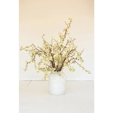 Botanica #2881