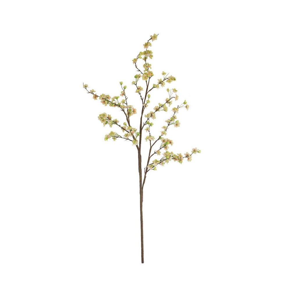 Botanica #2881