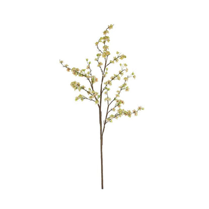 Botanica #2881
