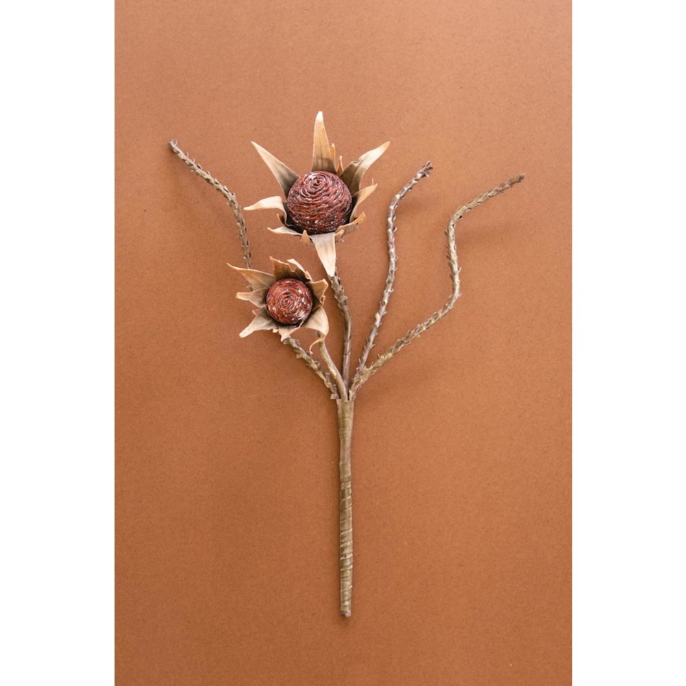 Botanica #2882