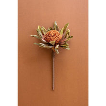 Botanica #2885