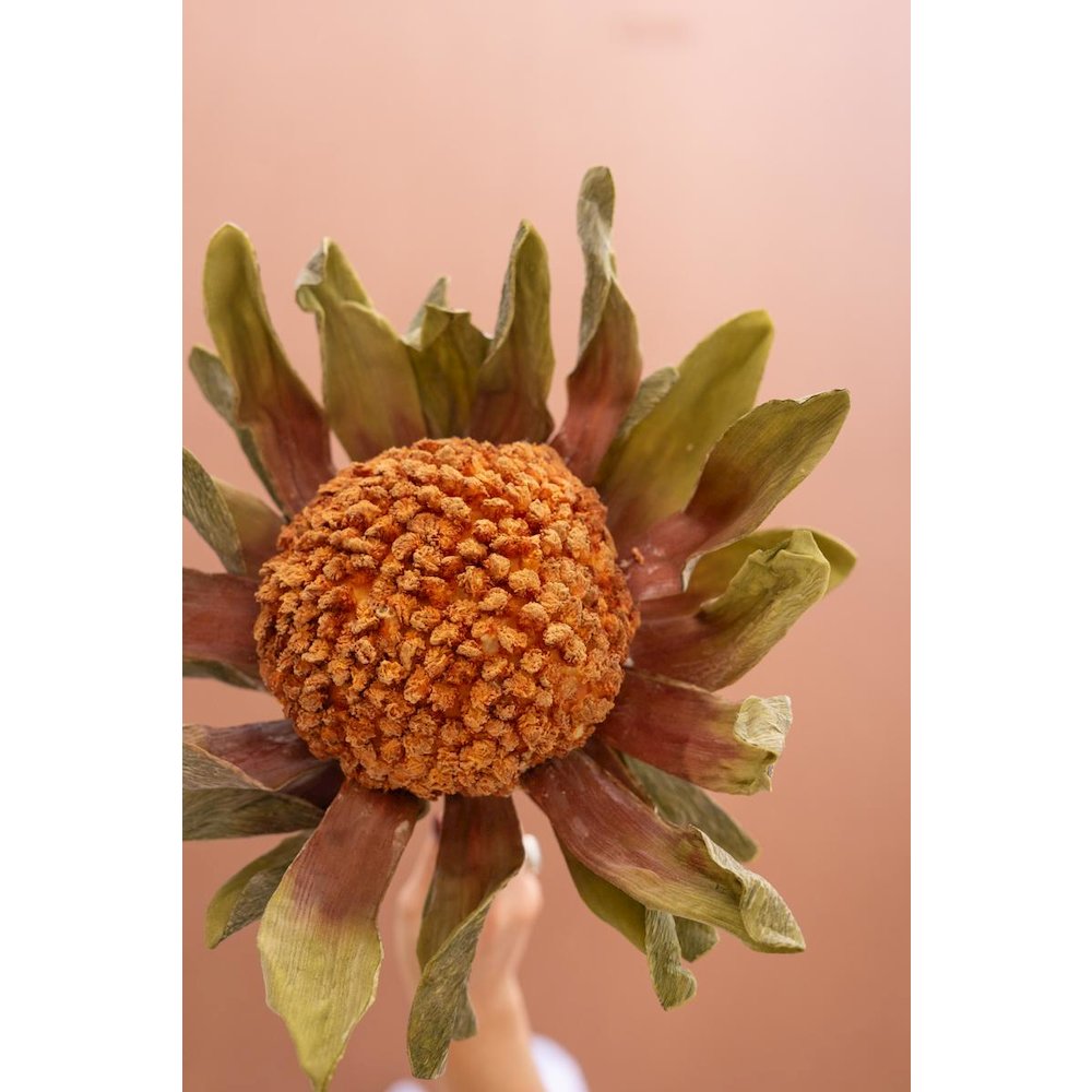 Botanica #2885