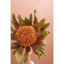 Botanica #2885