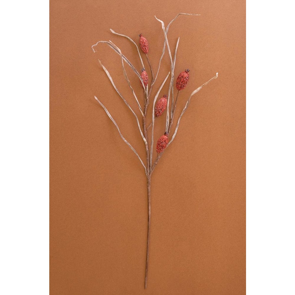 Botanica #2886