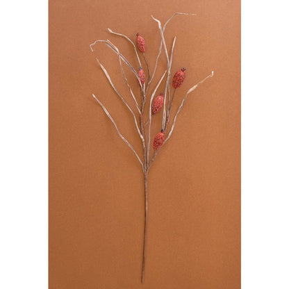Botanica #2886