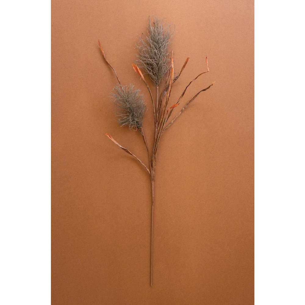 Botanica #2887
