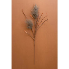 Botanica #2887