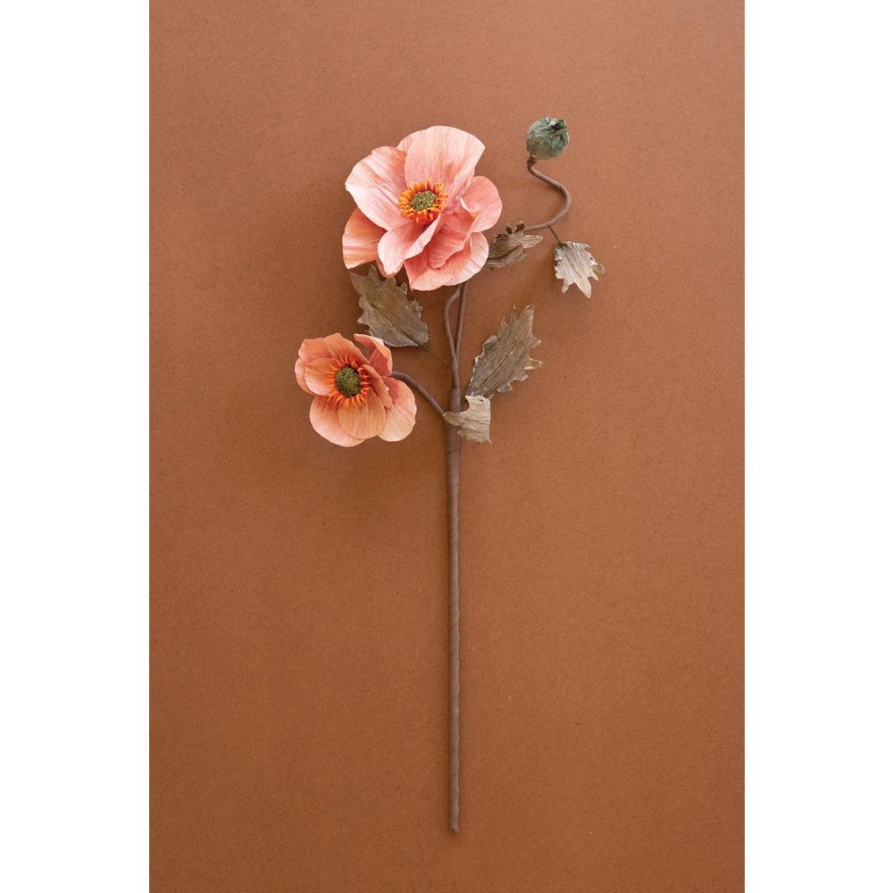 Botanica #2889