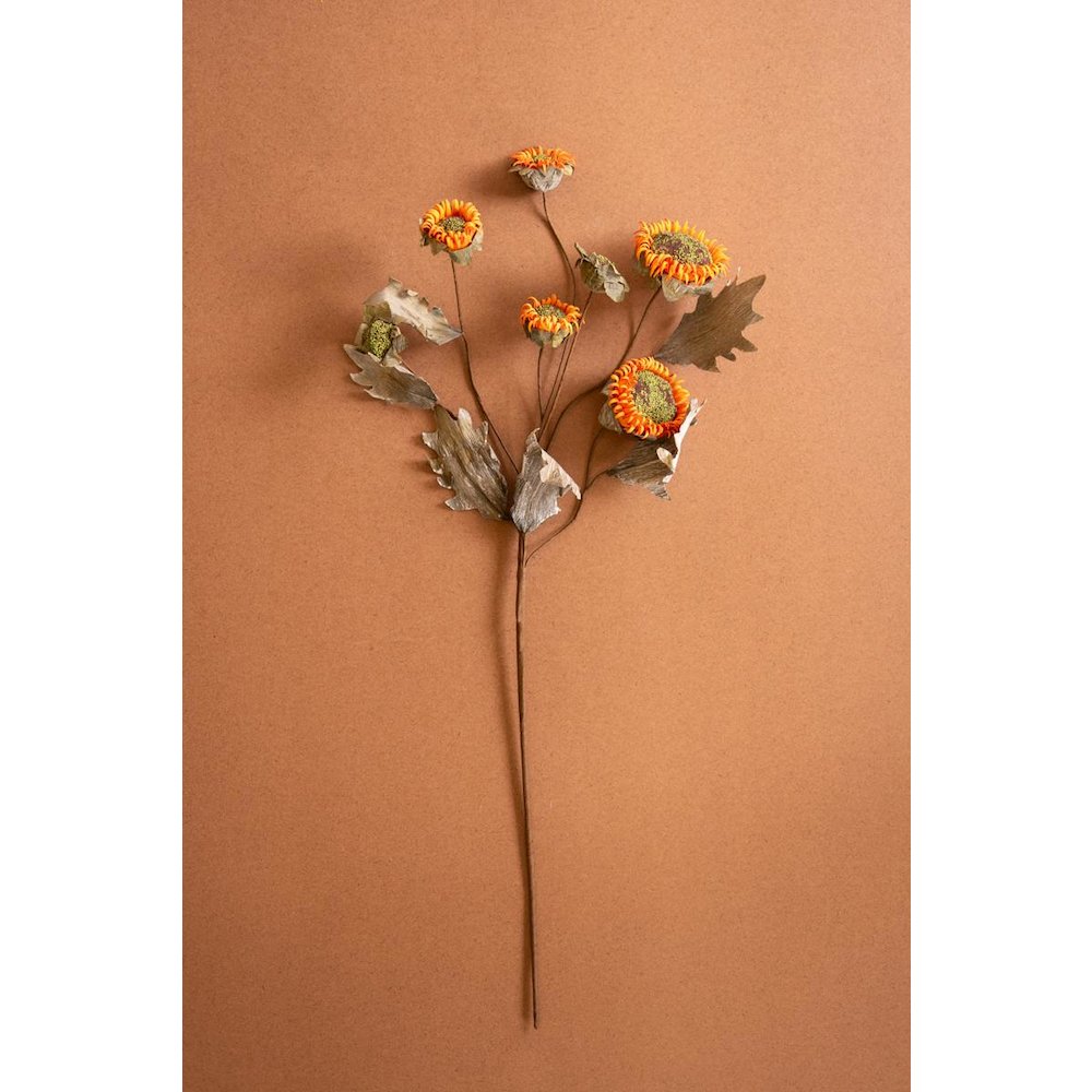 Botanica #2890
