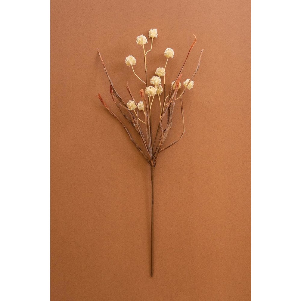 Botanica #2892