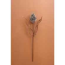 Botanica #2893