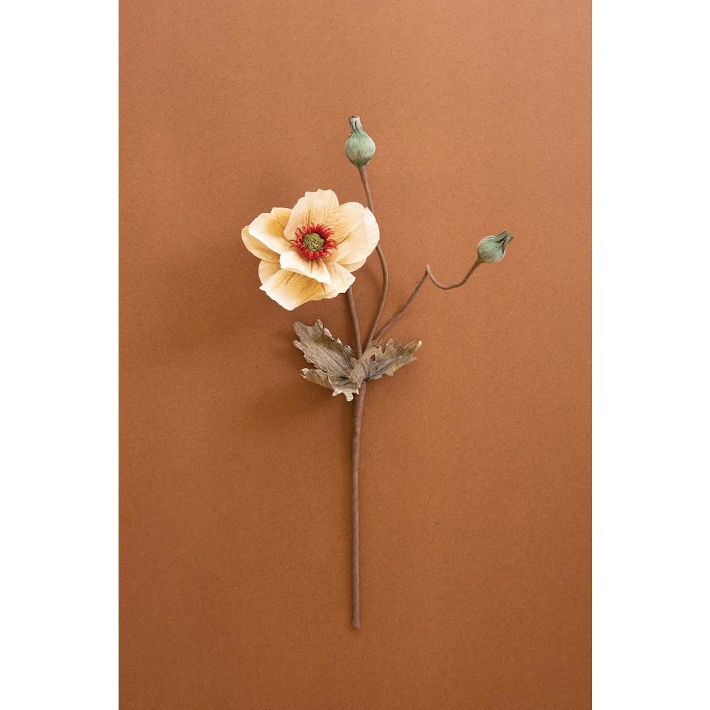 Botanica #2895