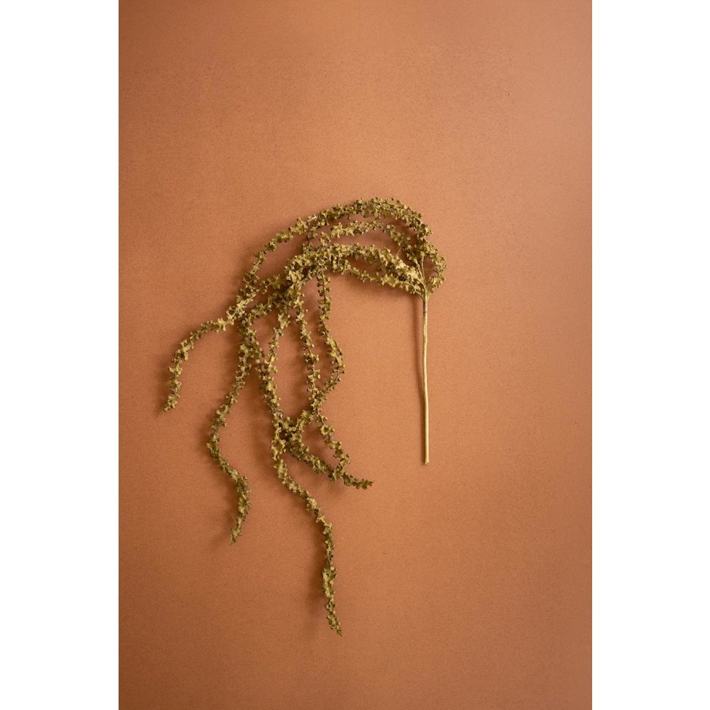 Botanica #2896