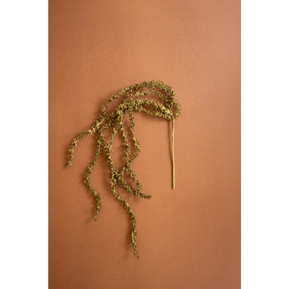 Botanica #2896