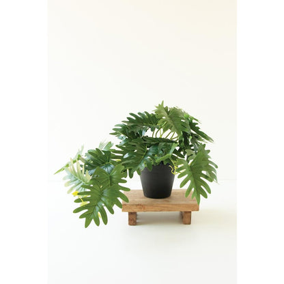 Artificial Mini Philodendron in a Black Plastic Pot