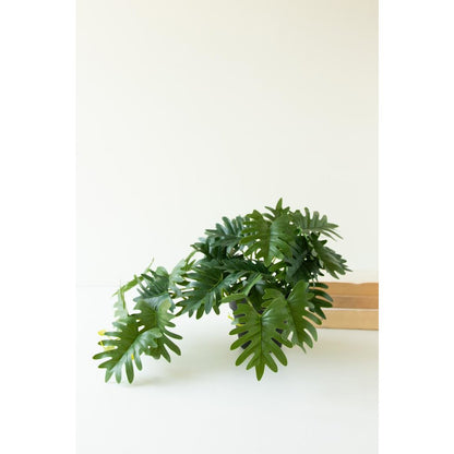 Artificial Mini Philodendron in a Black Plastic Pot