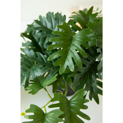 Artificial Mini Philodendron in a Black Plastic Pot