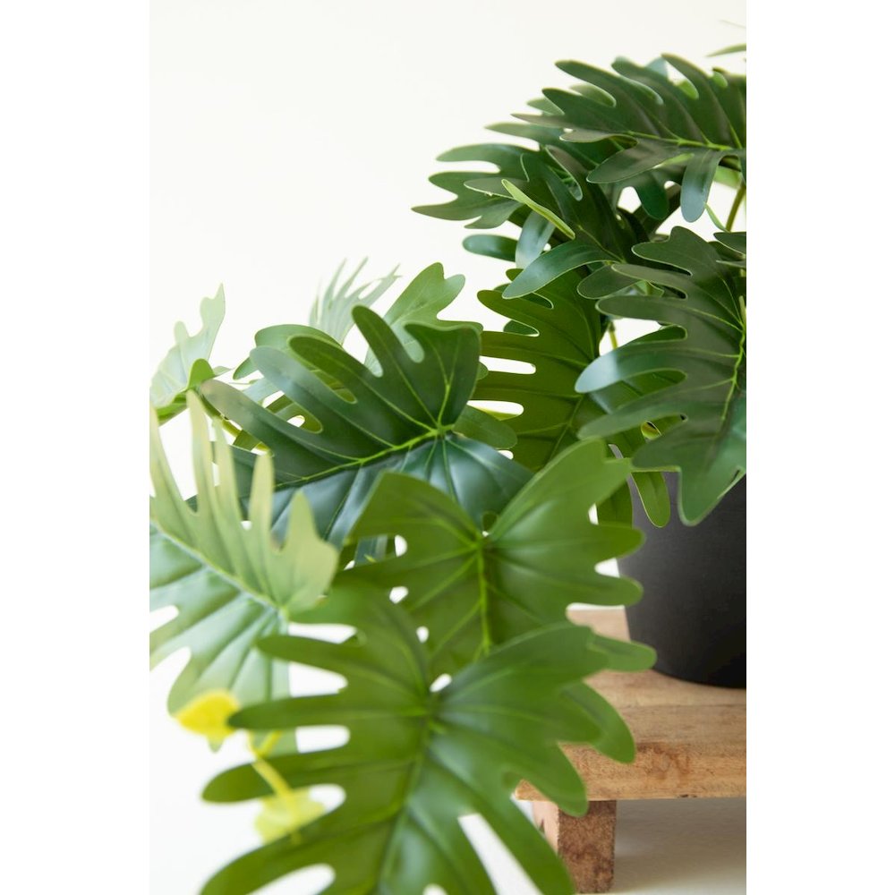 Artificial Mini Philodendron in a Black Plastic Pot