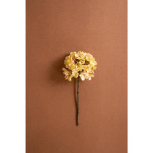 Botanica #2904