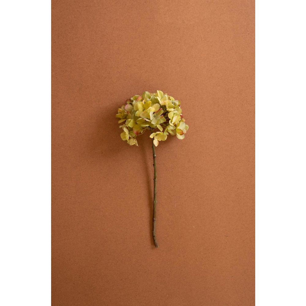 Botanica #2906
